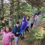 IMG-45a0b8cb98a1652de7e3274a4bccb118-V