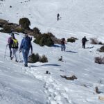 εικόνα_Viber_2023-03-14_19-28-00-525